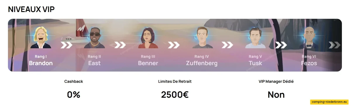 Les rangs d'un programme de fidélité et son cashback